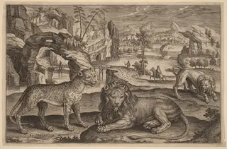 A Leopard and Two Lions, by Adriaen Collaert, ink, 1597