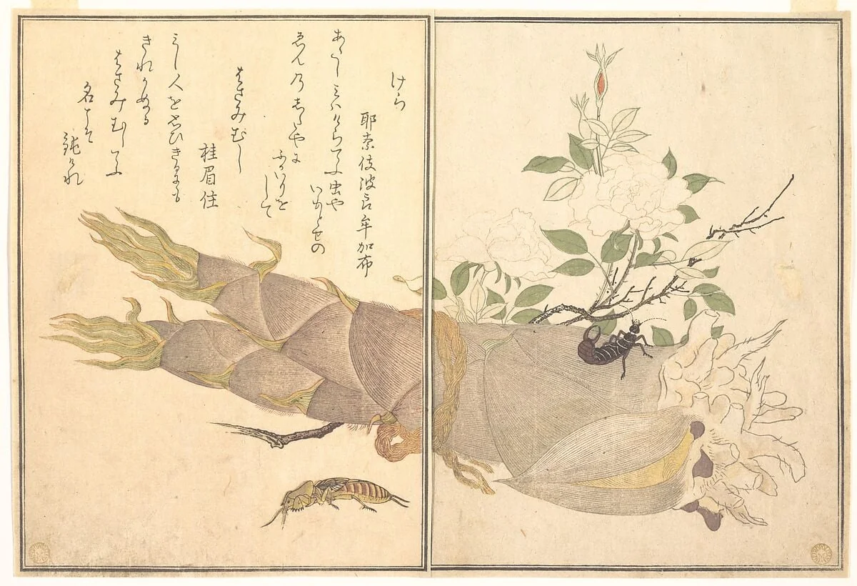 『画本虫撰』 「けら」「はさみむし」|Mole Cricket (Kera); Earwig, (Hasami-mushi), from the Picture Book of Crawling Creatures (Ehon mushi erami), detail