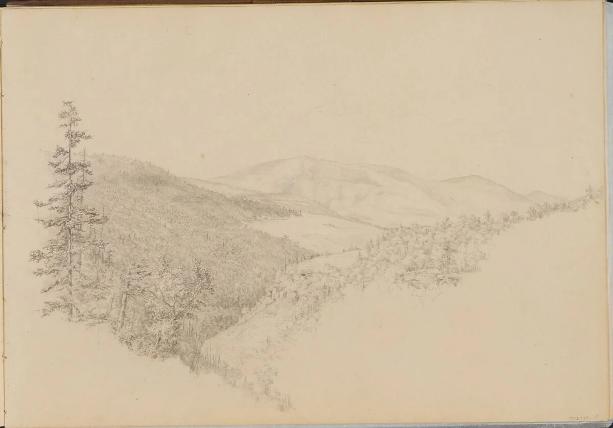 Kauterskill Clove (from Sketchbook of Landscape and Animal Subjects), detail