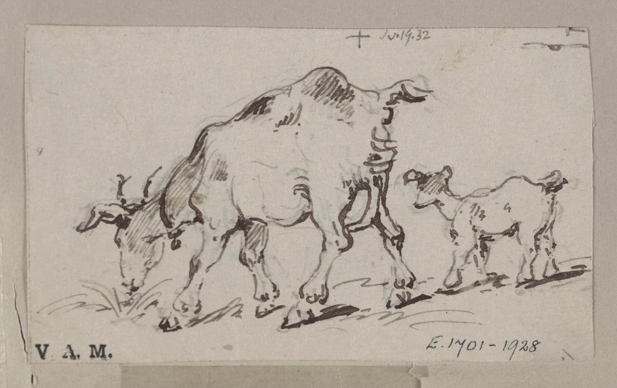 A goat and kid, detail