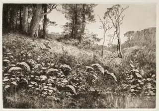 A Summer Afternoon, by Elis F. Miller, 1882