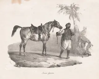 Egyptian Mare, by Théodore Géricault, 1822