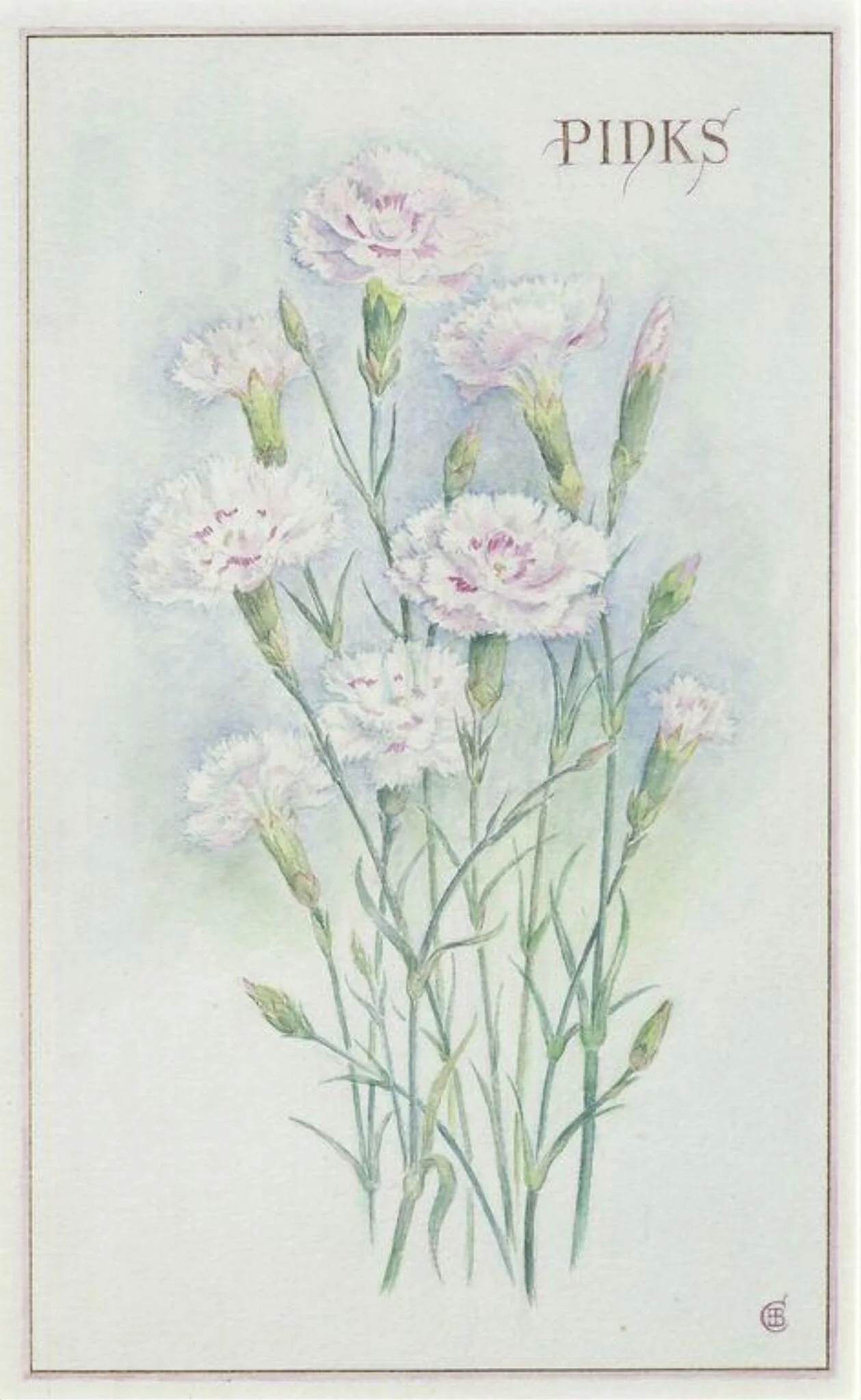 Pinks, detail