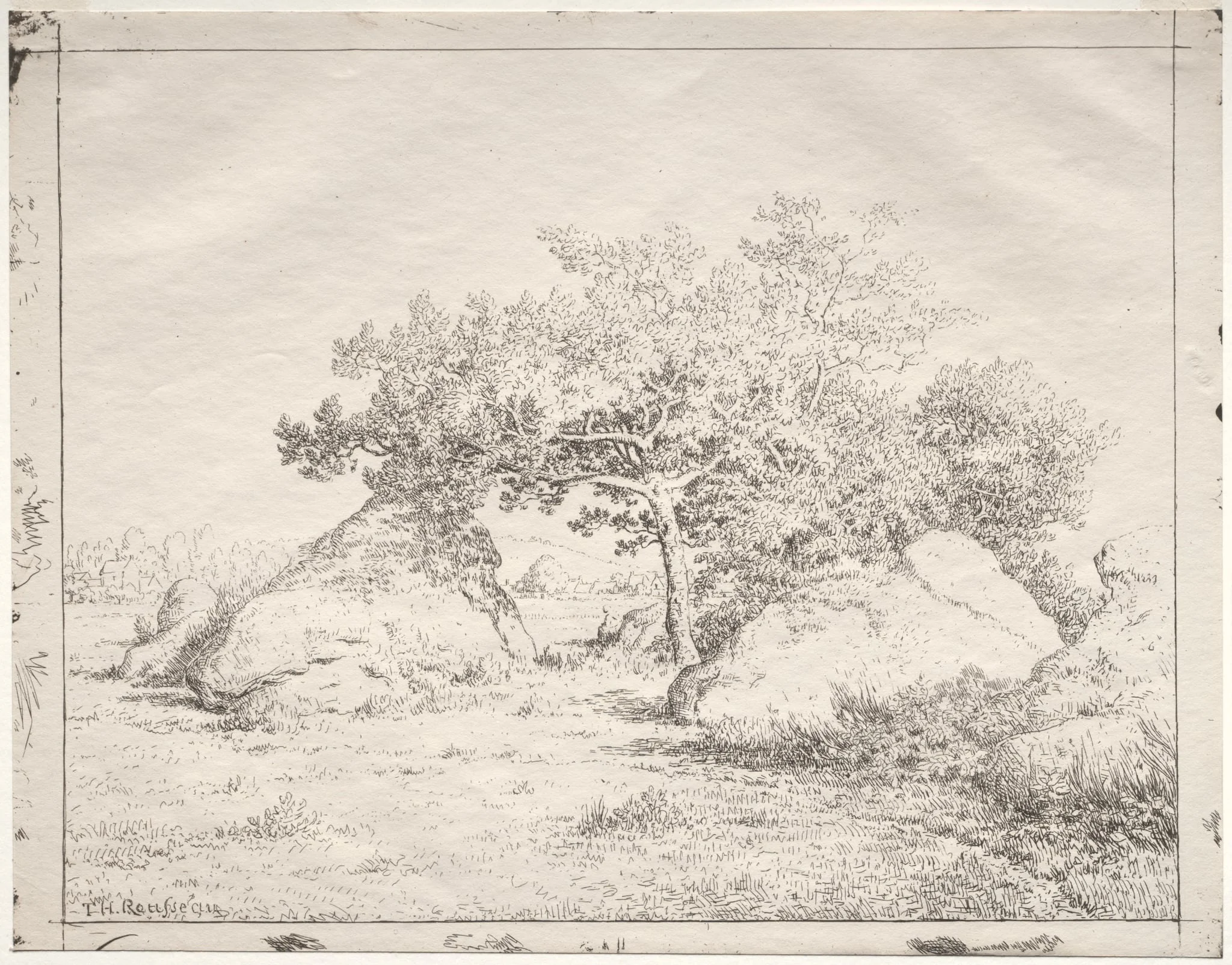 Cherry Tree at Blau, detail