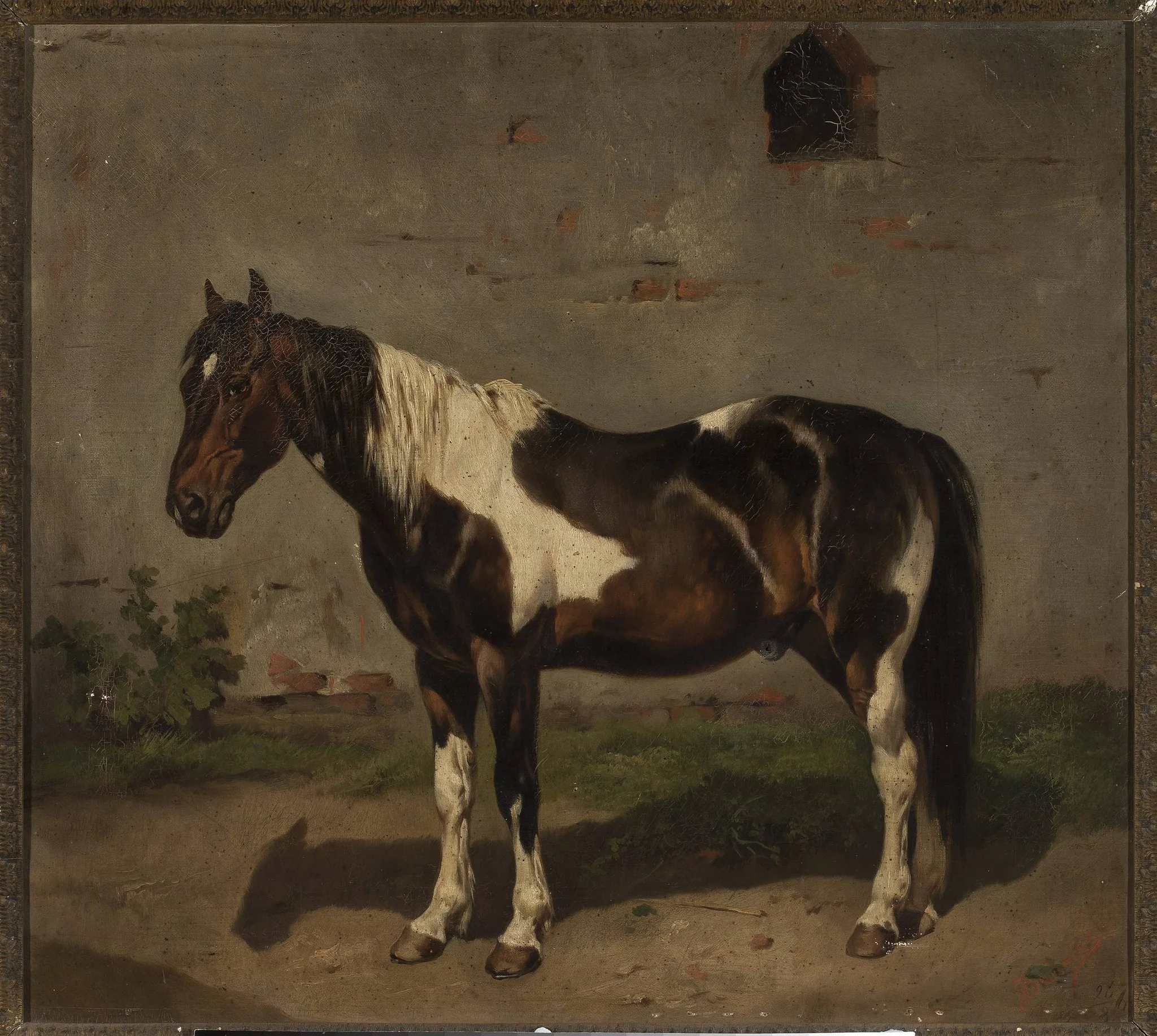 Horse with the barn in the background, detail