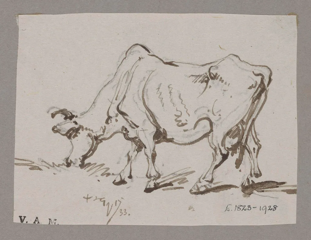 A grazing cow, by George Chinnery, 14
