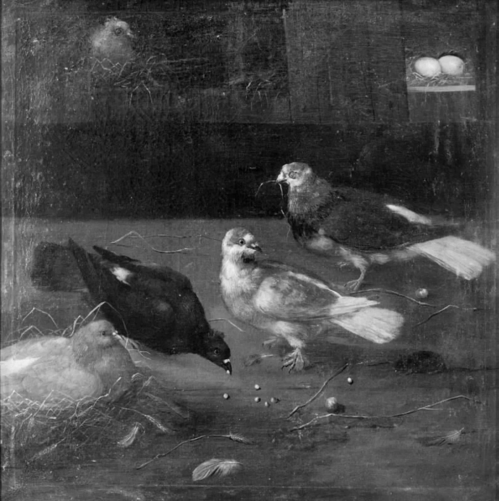 Pigeons, detail