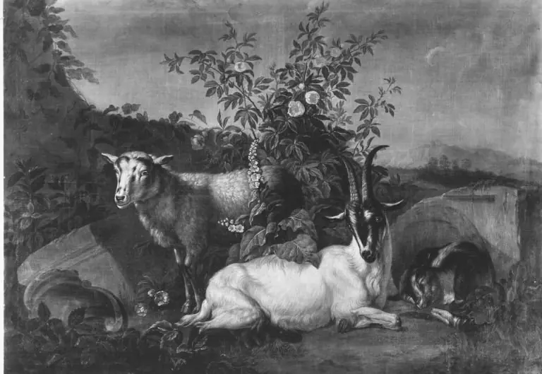 Ruhende Tiere, by Daniel Hien
