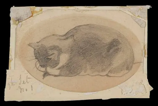 Study of a sleeping cat, by Daniel Maclise