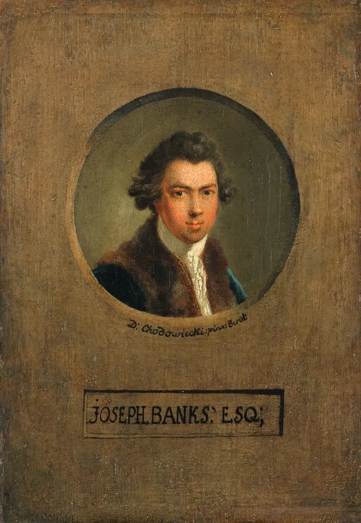 The Botanist Joseph Banks, by Daniel Nikolaus Chodowiecki