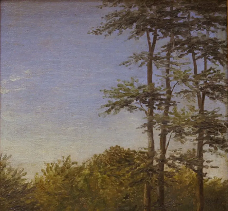 Study of Undergrowth and Tall Trees, Funen, by Dankvart Dreyer