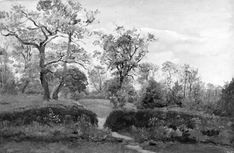 The Fringe of a Wood, by Dankvart Dreyer