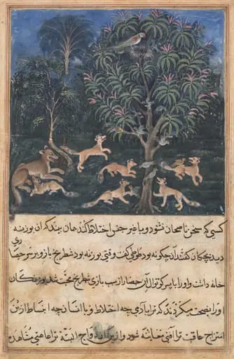 The parrot mother cautions her young on the danger of playing with foxes, from a Tuti-nama (Tales of a Parrot): Fifth Night, by Daswanth
