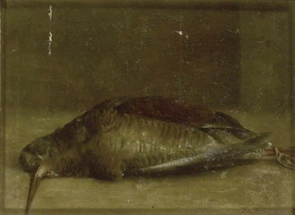 Woodcock from Nature, by David Charles Read