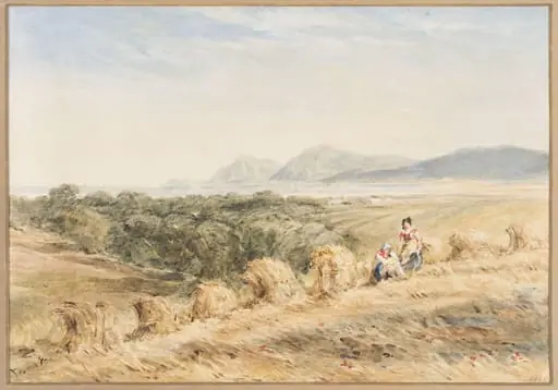 A Cornfield, by David Cox