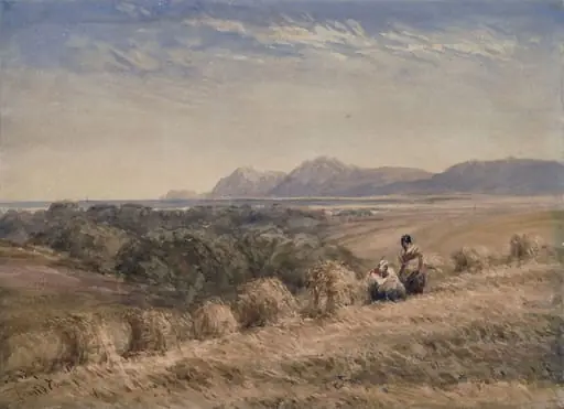 A Cornfield, by David Cox