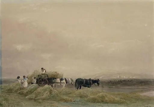 Hay Field, by David Cox