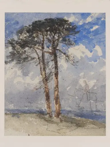 Scotch Firs, by David Cox