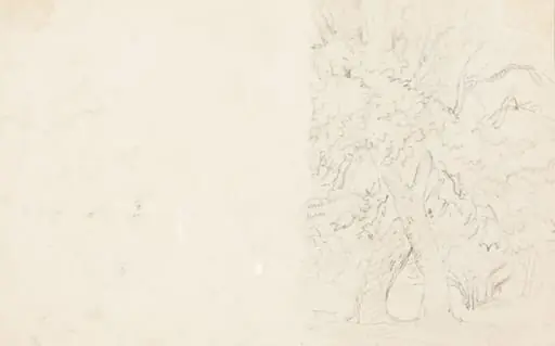 Trees [verso], by David Cox