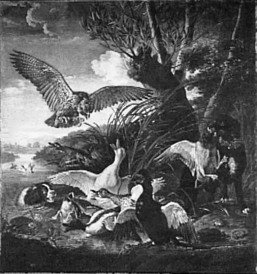 Hunting with the Falcon, by David de Coninck