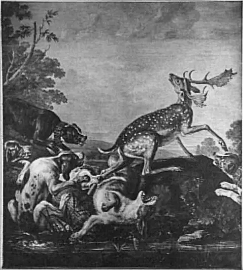 David de Coninck