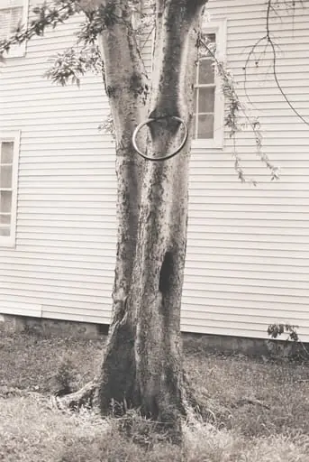 Untitled, by David Hammons