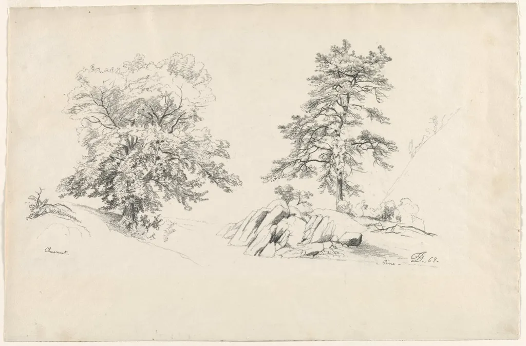 Chestnut and Pine, by David Johnson, 1869