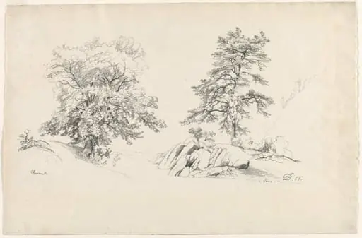 Chestnut and Pine, by David Johnson