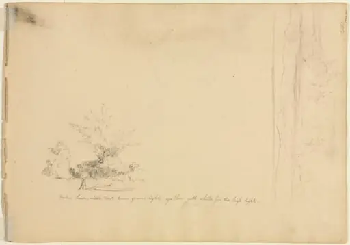 Landscape and Tree Studies (verso), by David Johnson