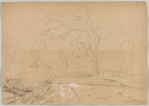 Landscape with Man Fishing, Conway, New Hampshire, by David Johnson