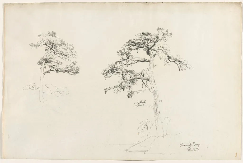 Pine, Lake George, by David Johnson, 1871
