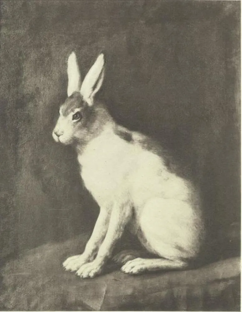 Hare, by David Klöcker Ehrenstrahl, oil, 1668