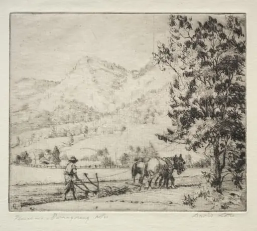 Ploughing - Burragorang, New South Wales, Australia, by David Little