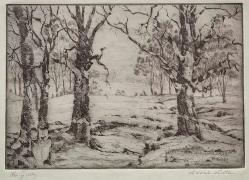 The Gully, by David Little