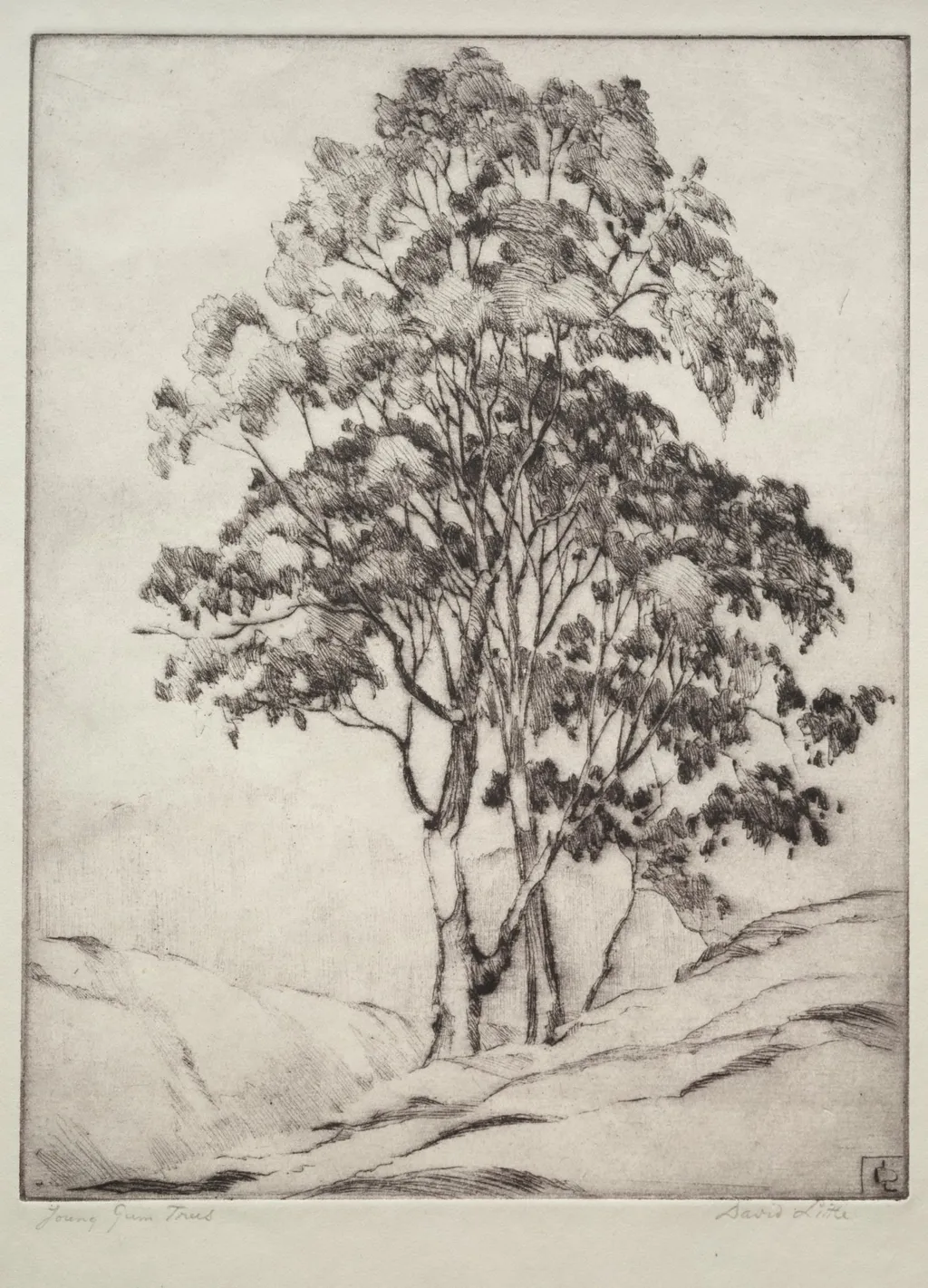 Young Gum Trees, by David Little, 1932