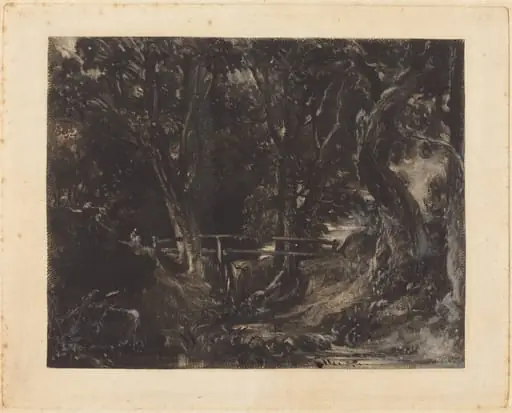 A Dell at Helmingham Park, Suffolk, by David Lucas