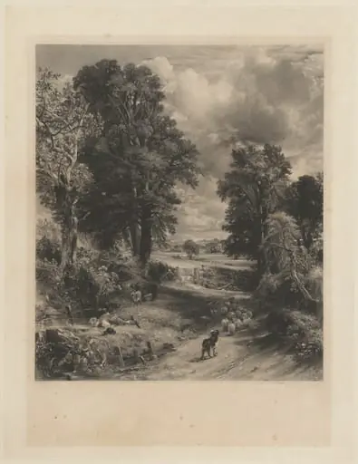 The Cornfield, by David Lucas