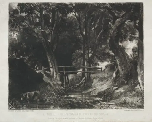 Various Subjects of Landscape, Characteristic of English Scenery from Pictures Painted by John Constable, R.A.:  Dell in the Woods of Helmingham Park, Suffolk, by David Lucas