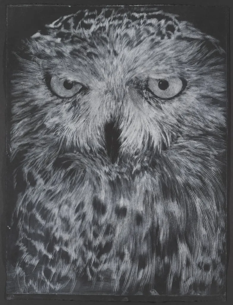 Untitled, by David Noonan, gouache, 2003
