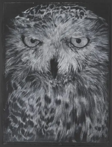 Untitled, by David Noonan