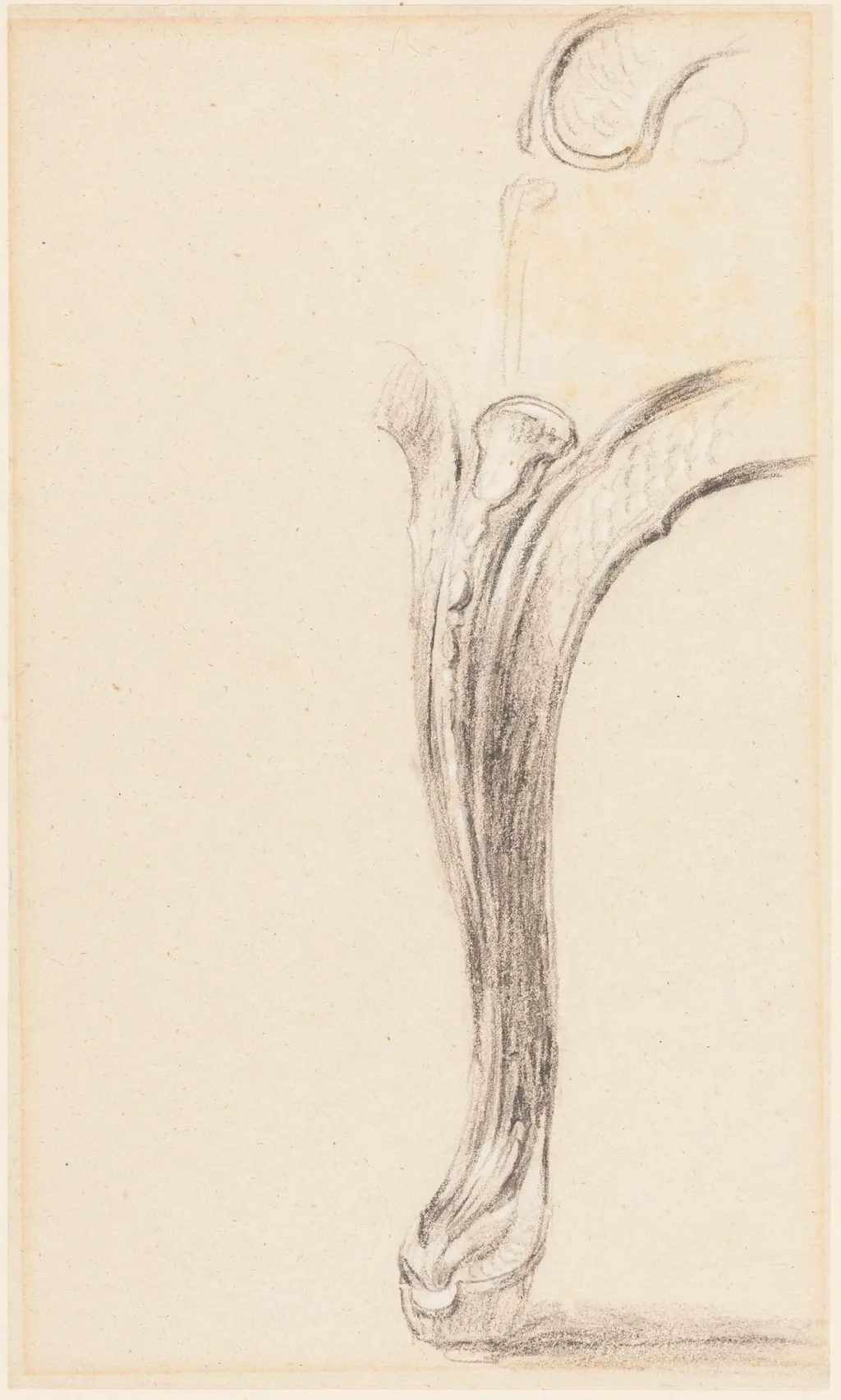 Study of a Chair Leg, by David, Sir Wilkie, chalk, 1813