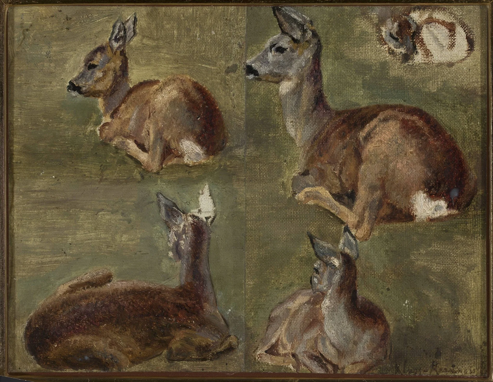 Sketches of fawns, detail