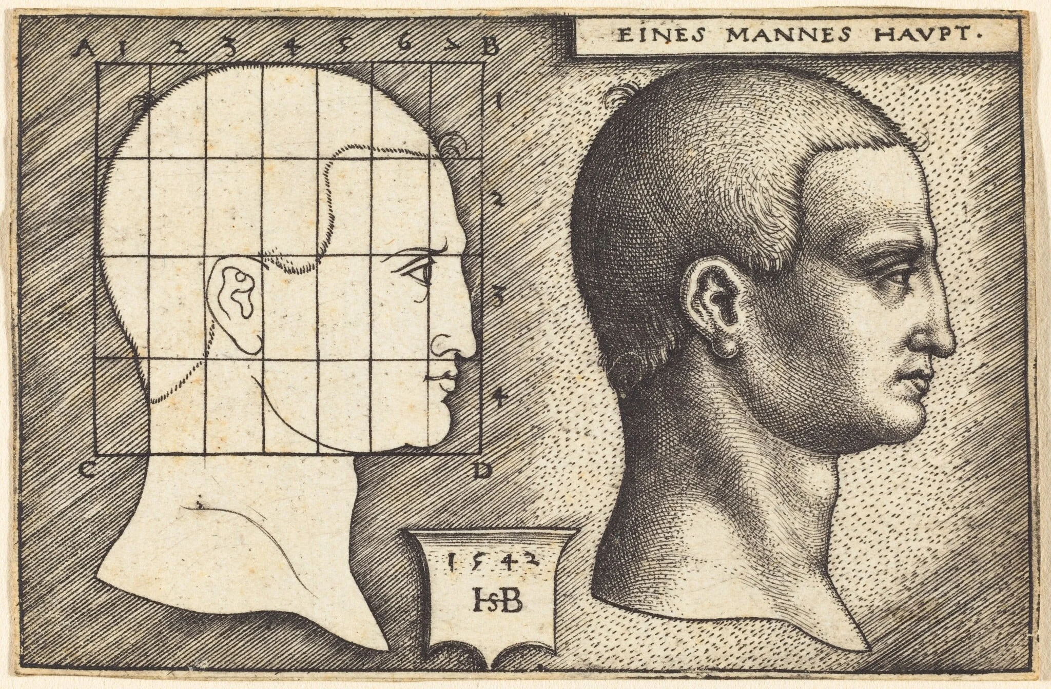 Two Profile Studies of a Man's Head, detail