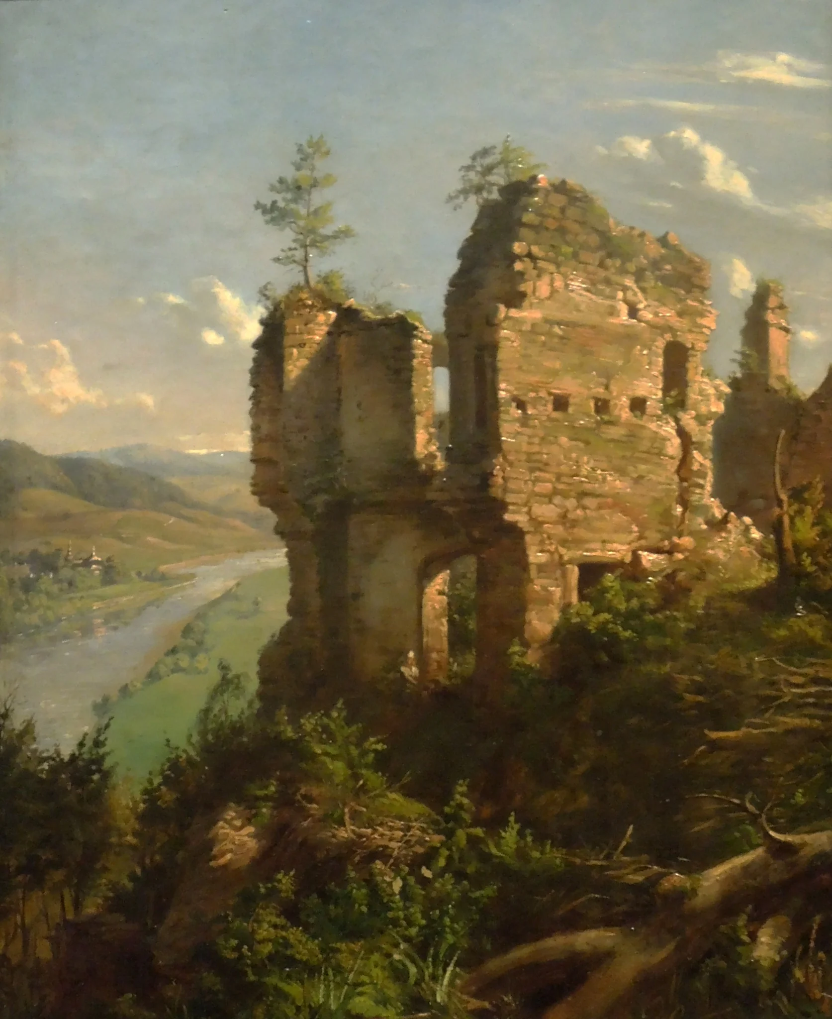 Ruins of Sobieniu Castle, detail