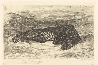 Tiger Sleeping in the Desert (Tigre couché dans le désert), by Eugène Delacroix, ink, 1846