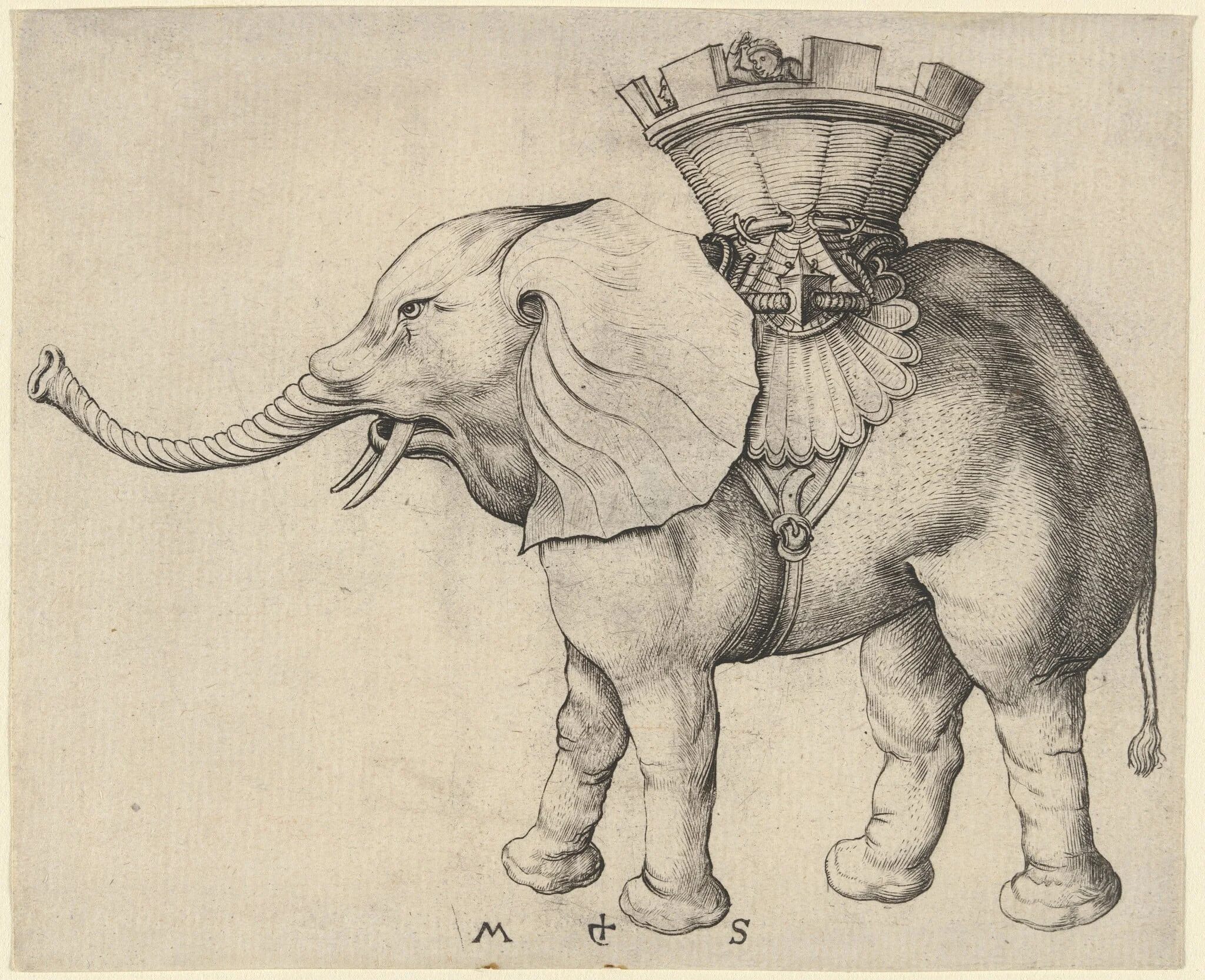 Elephant, detail