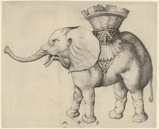 Elephant, by Martin Schongauer, ink, 1485