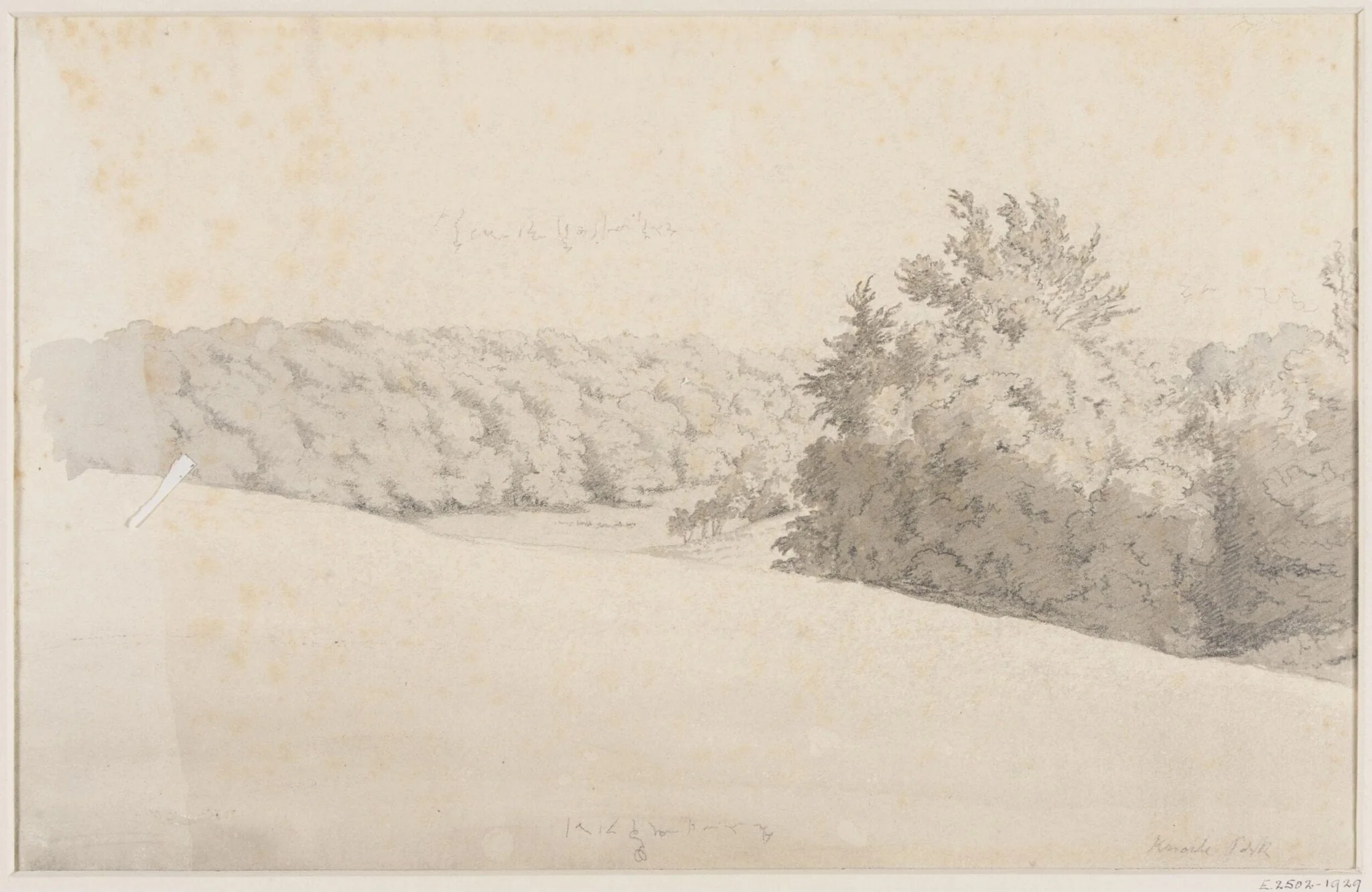 Knole Park, detail