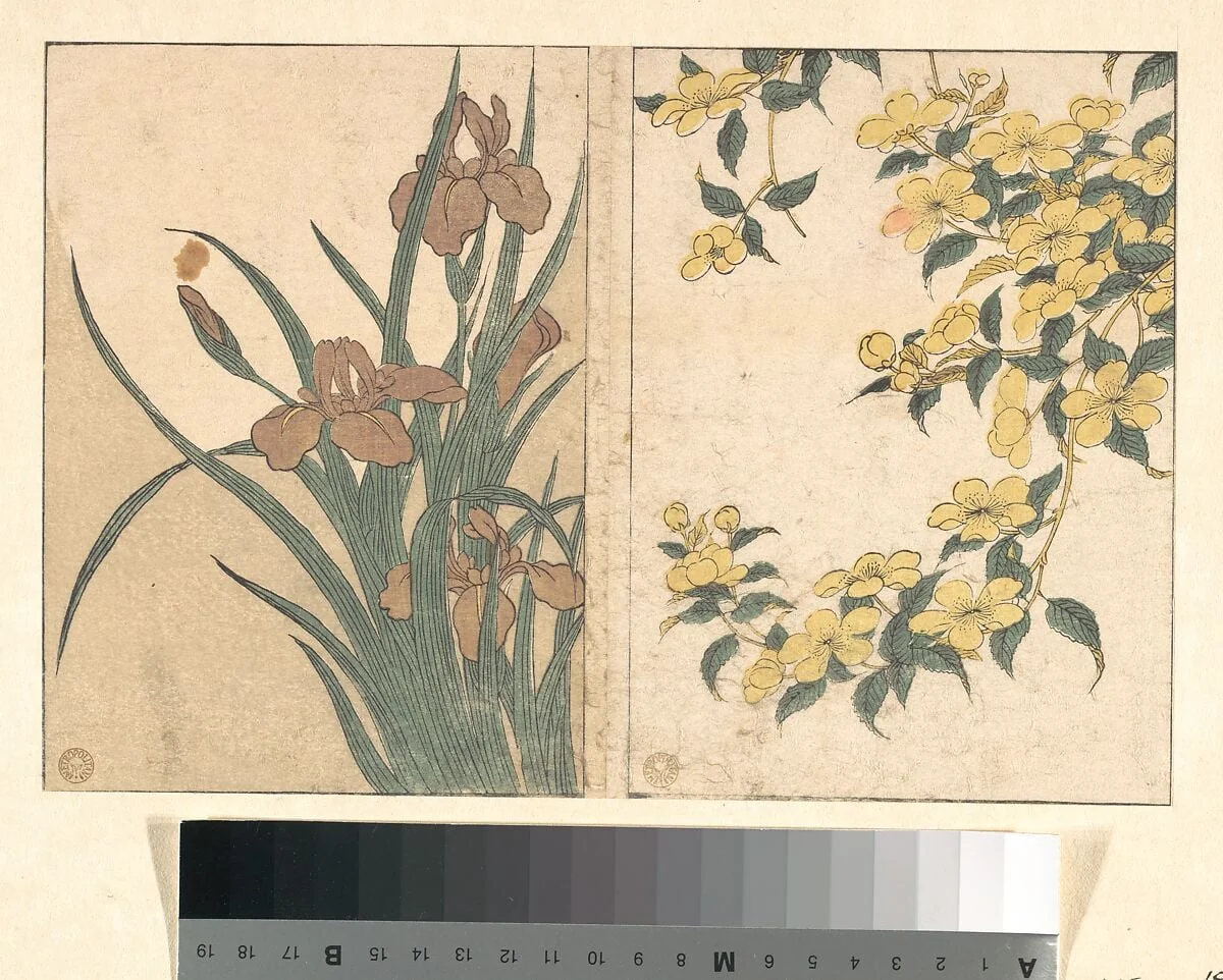 Untitled, detail