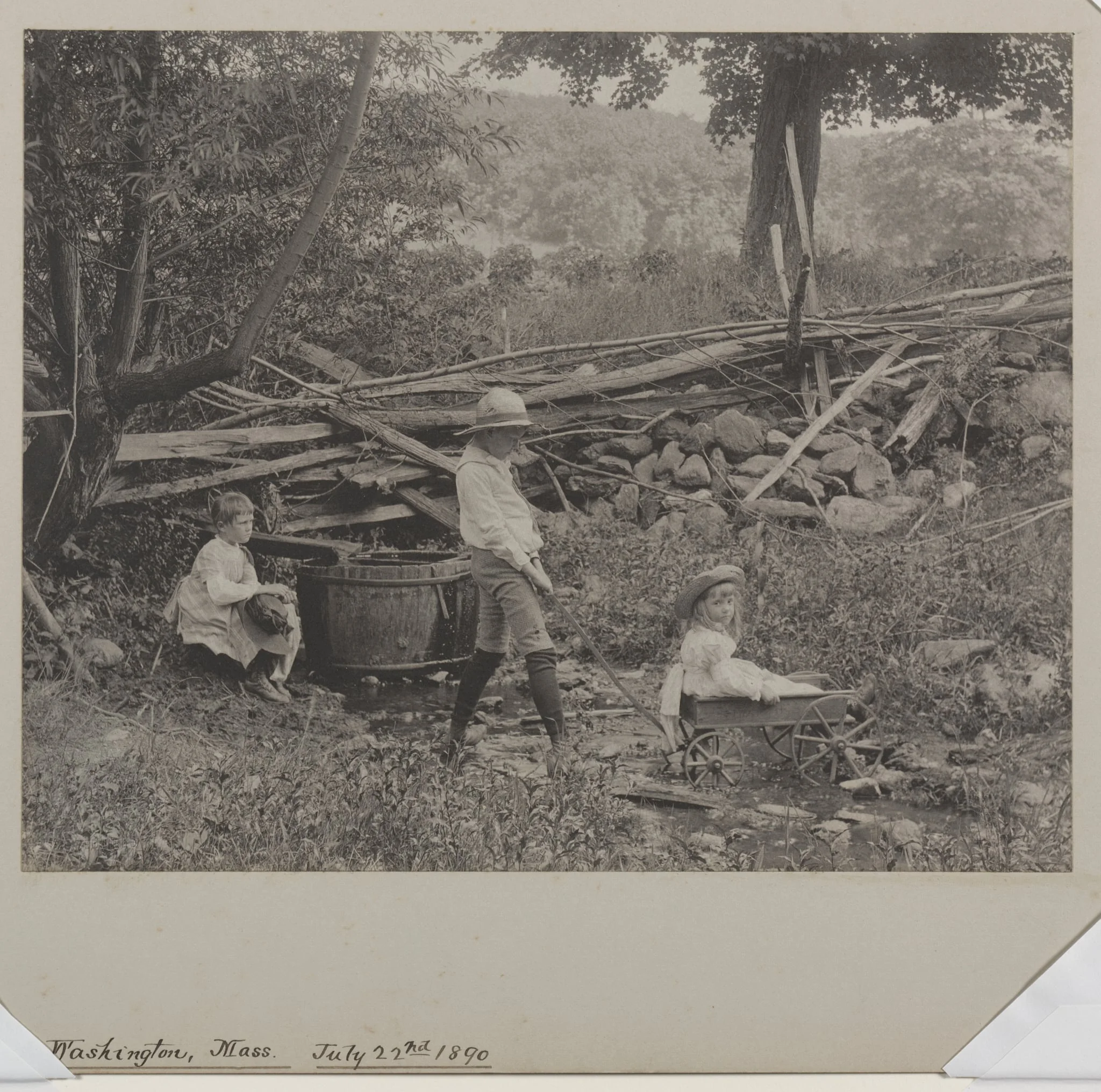 Mount Washington, Massachusetts, July 22, 1890, detail